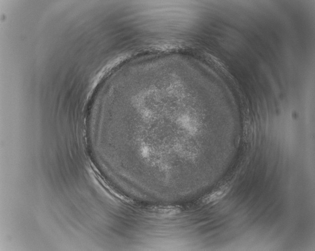 X0000053060443200508011918