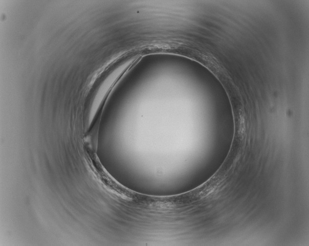 X0000053060444200508011918