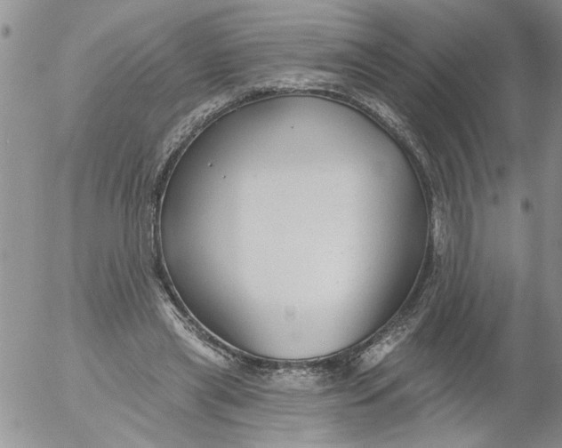 X0000053060445200508011918