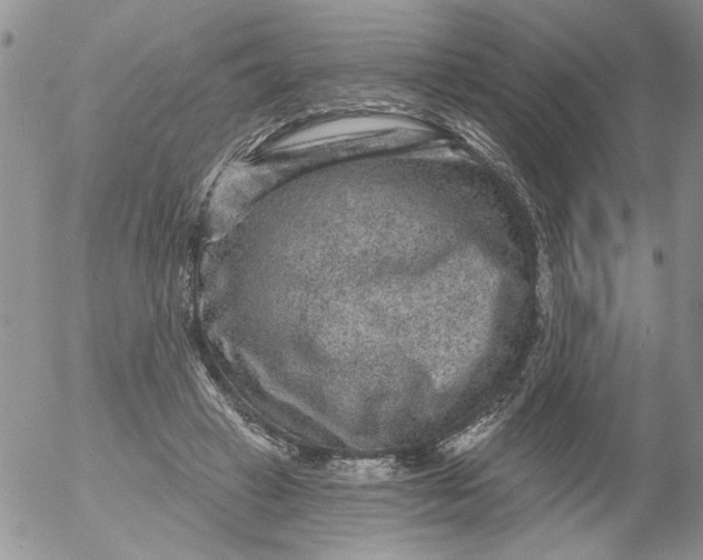 X0000053060449200508011918