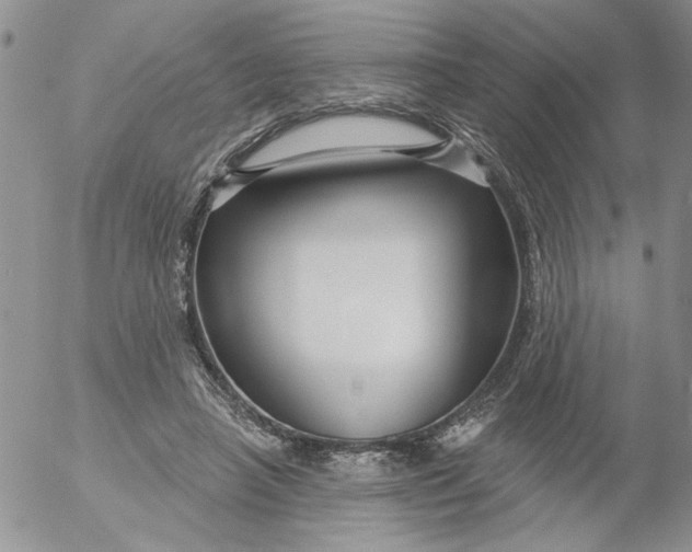 X0000053060450200508011918