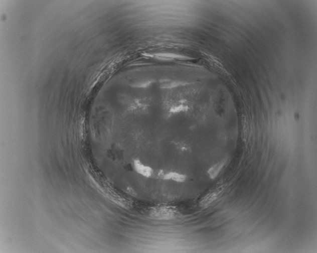 X0000053060451200508011918