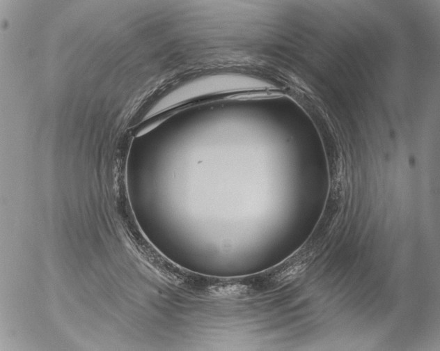 X0000053060452200508011918