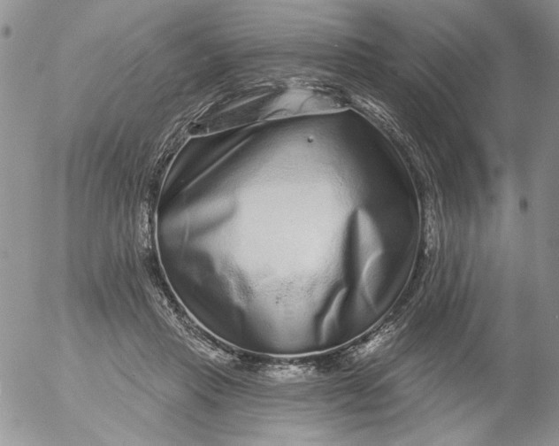 X0000053060453200508011918