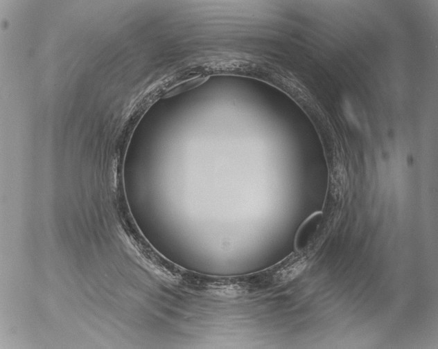 X0000053060454200508011918