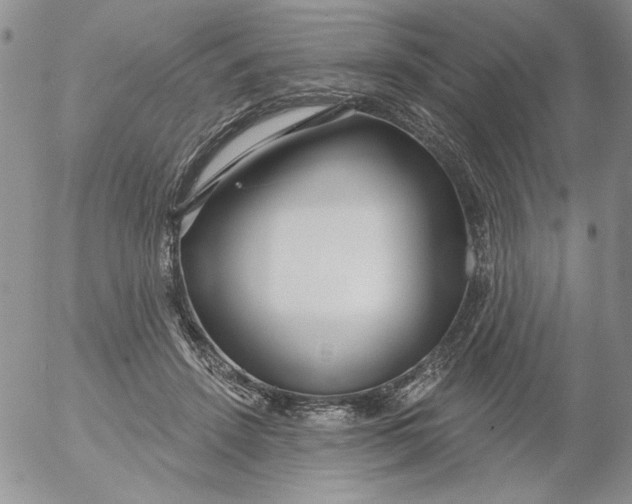 X0000053060456200508011918