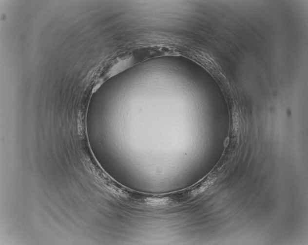 X0000053060457200508011918