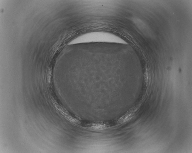 X0000053060458200508011918