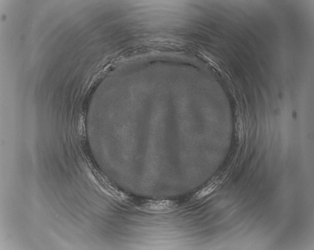 X0000053060459200508011918