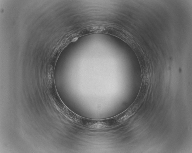 X0000053060460200508011918