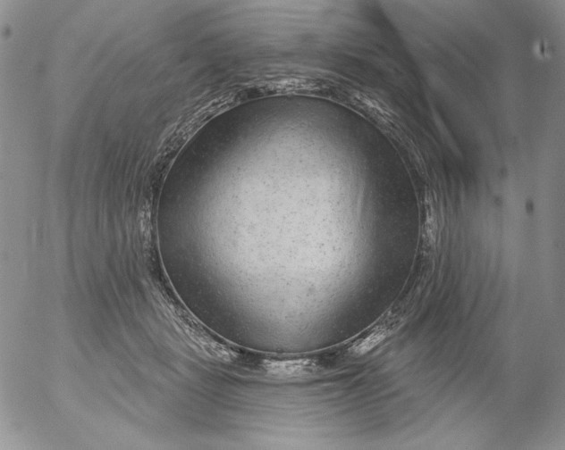 X0000053060461200508011918