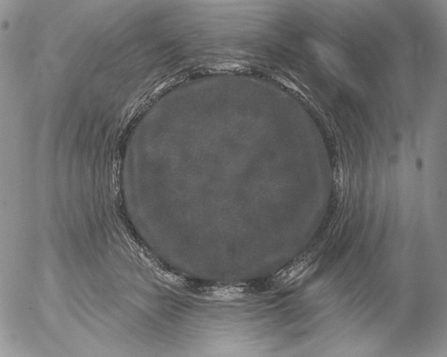 X0000053060462200508011918