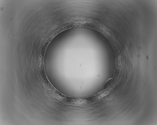 X0000053060463200508011918