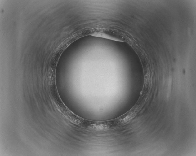 X0000053060464200508011918