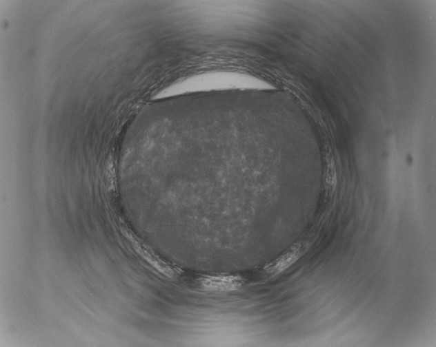 X0000053060465200508011918