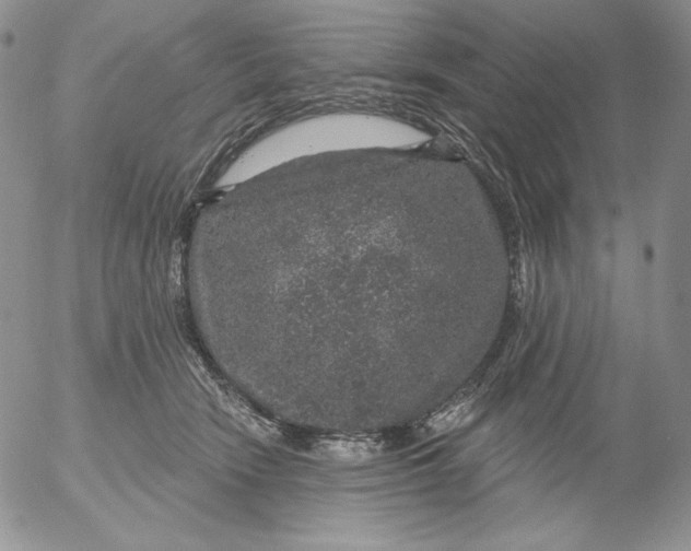 X0000053060466200508011918