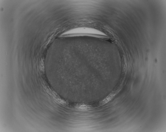 X0000053060467200508011918