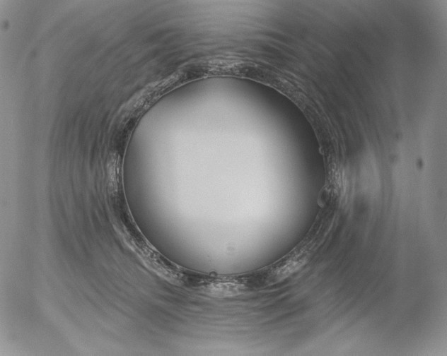 X0000053060468200508011918