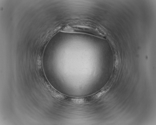 X0000053060469200508011918