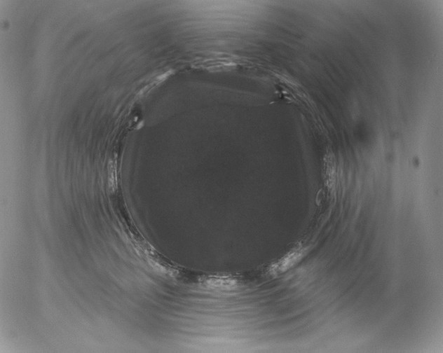 X0000053060471200508011919