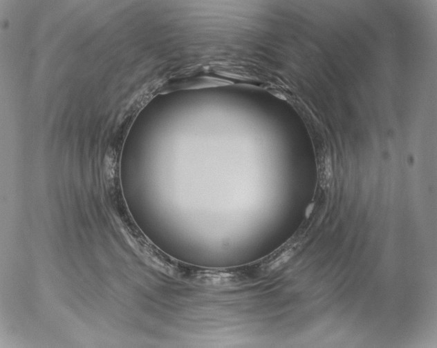 X0000053060472200508011919