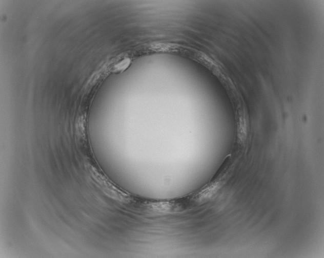 X0000053060473200508011919