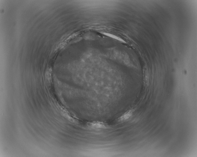 X0000053060475200508011919