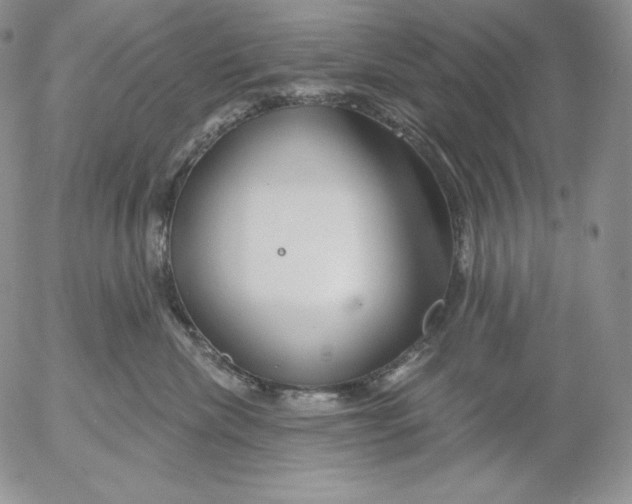 X0000053060476200508011919