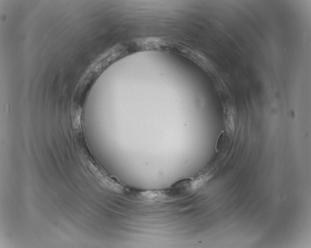 X0000053060477200508011919