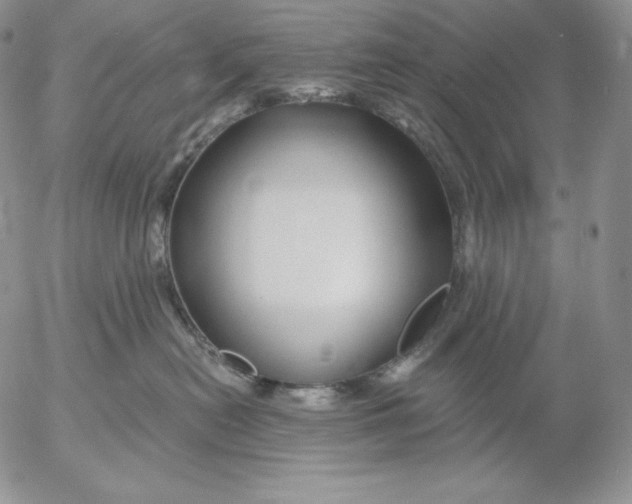 X0000053060478200508011919