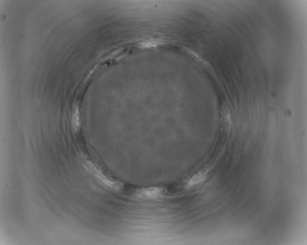 X0000053060479200508011919