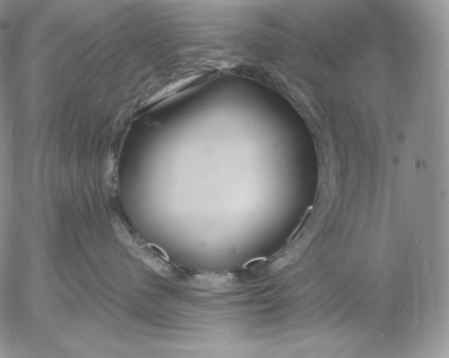 X0000053060480200508011919