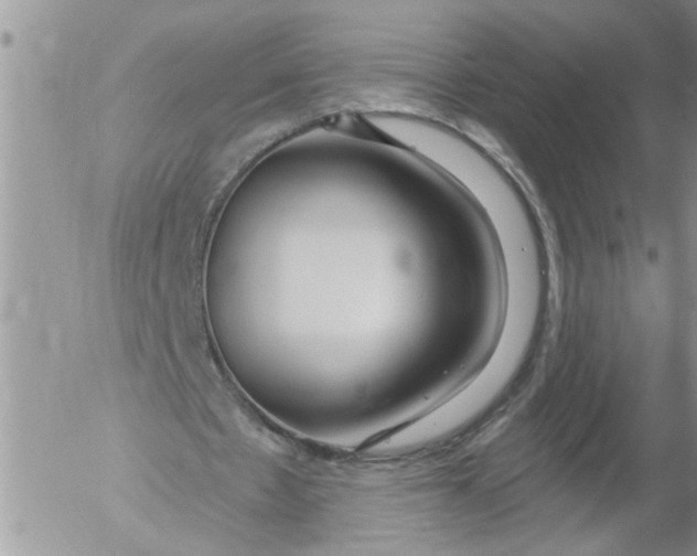 X0000053060481200508011918