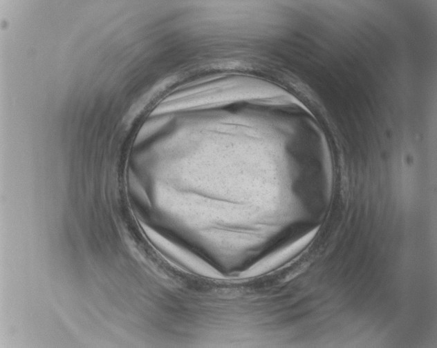 X0000053060482200508011918