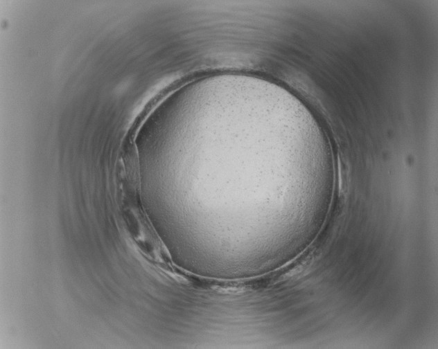 X0000053060483200508011918