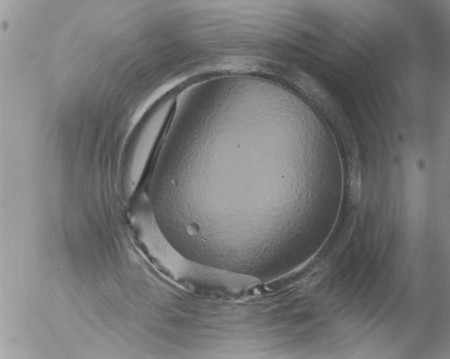 X0000053060484200508011918