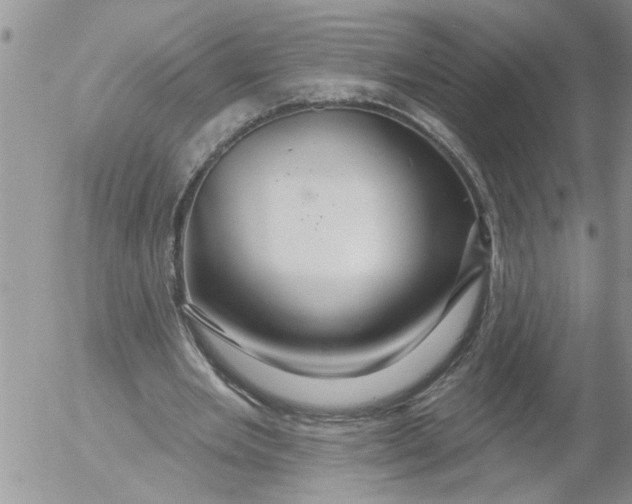 X0000053060485200508011918