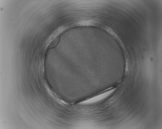 X0000053060486200508011918