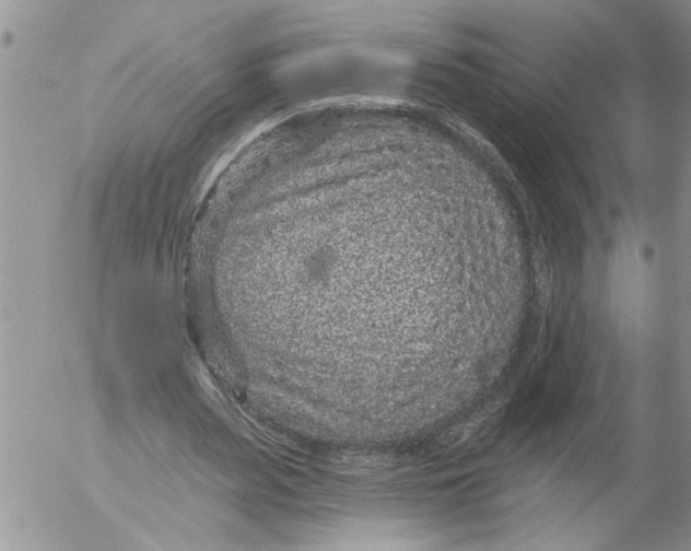 X0000053060487200508011918