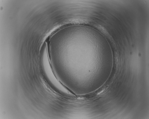 X0000053060488200508011918