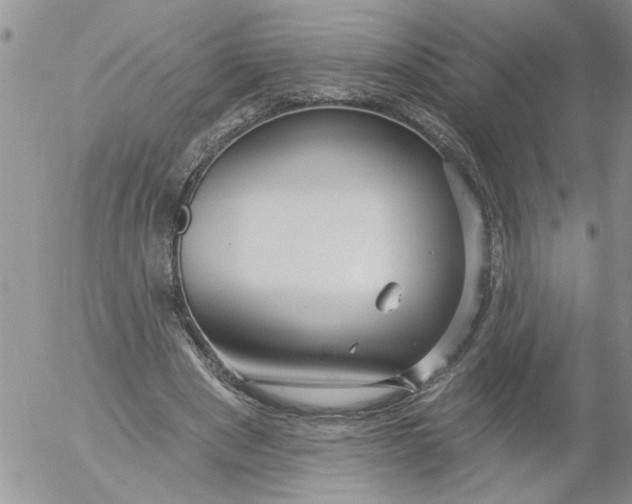 X0000053060489200508011918