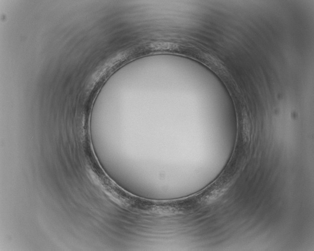 X0000053060490200508011918