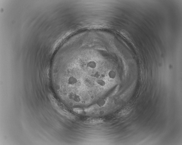 X0000053060491200508011918