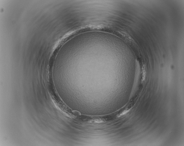 X0000053060492200508011918