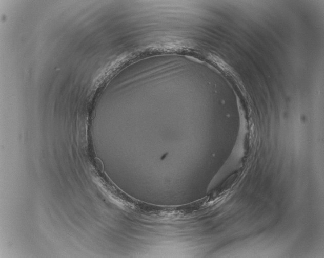 X0000053060493200508011918