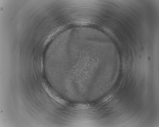 X0000053060494200508011918