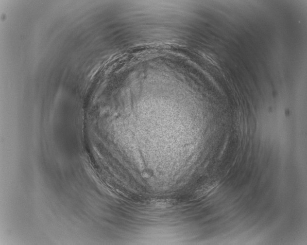 X0000053060495200508011918