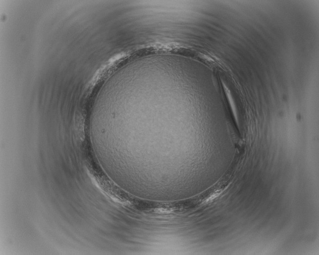 X0000053060496200508011918