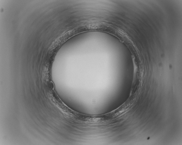 X0000053060497200508011918