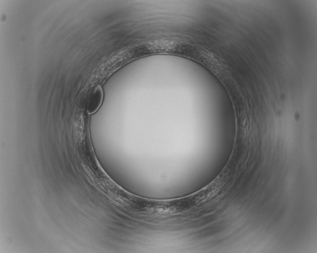 X0000053060498200508011918